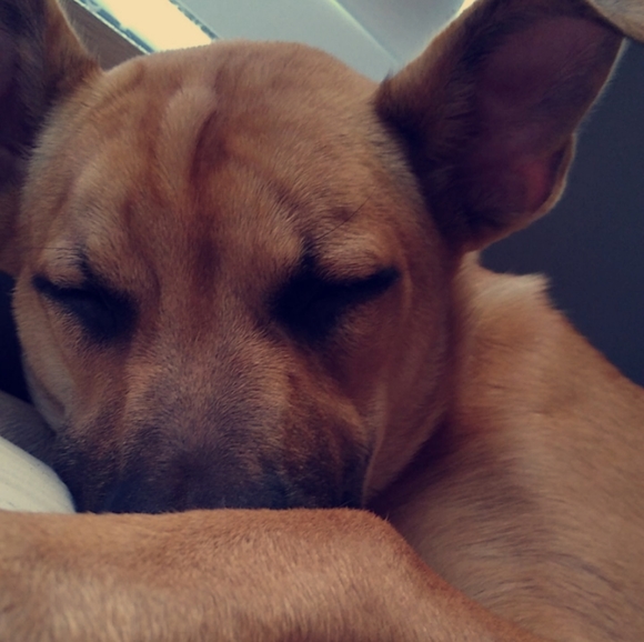 Meet Me!!! :) - Picture 4 of 8